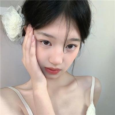 飞蛾日记